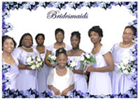 bridesmaids_fnl.jpg (20kb)